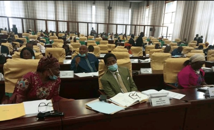 Assemblée nationale : La représentation nationale reprend le chemin de l’hémicycle ce jour.