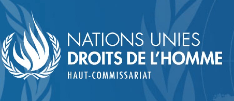 Droit de l’Homme: Les experts des Nations Unies demandent la fin de la détention et de l’intimidation des manifestants pacifiques au Cameroun.