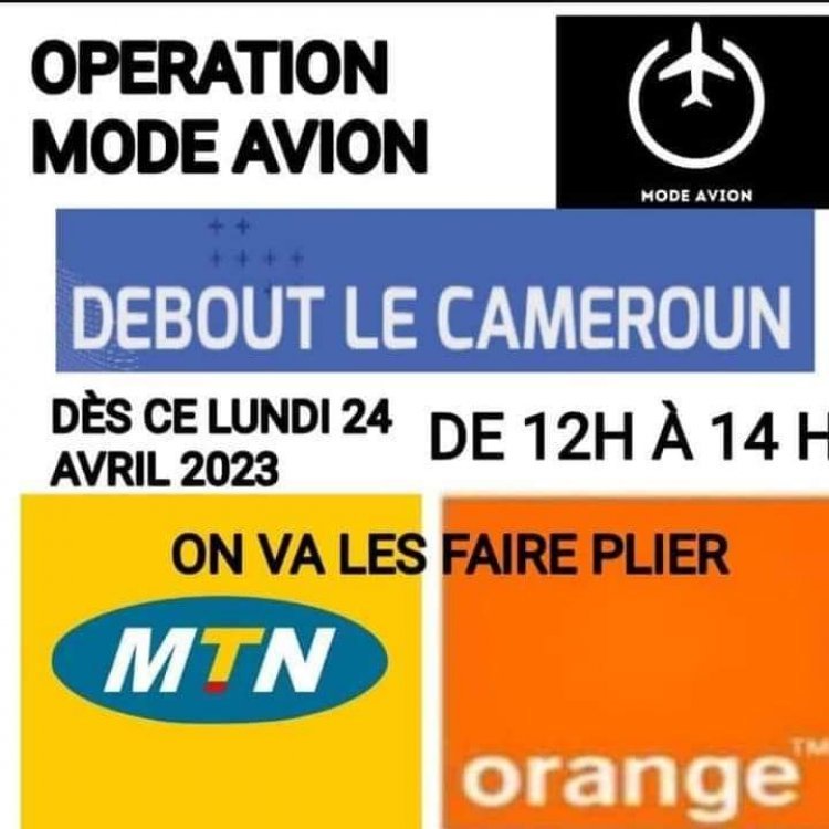 Téléphonie mobile : Quid du rôle effectif des pouvoirs publics et des opérateurs ?